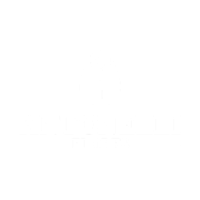 Logo de ANTONELLI FLORES