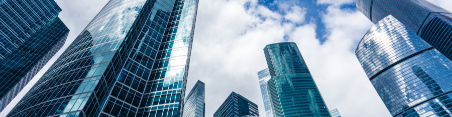 Profesional usando laptop y smartphone - Web Matter Argentina Contacto