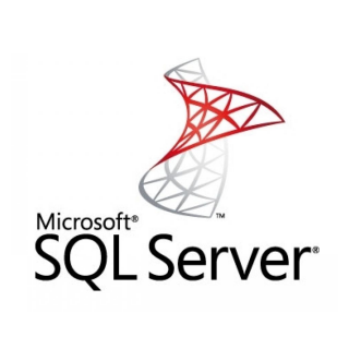 Servidores de base de datos Microsoft SQL Server + Gestin Tercerizada + Soporte