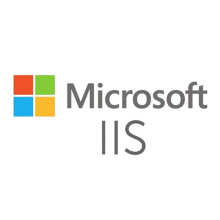 Servidores Web Microsoft IIS para mltiples sitios + Gestin Tercerizada + Soporte