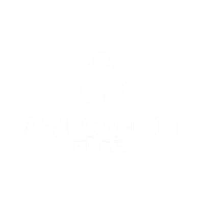 Logo de ANTONELLI FLORES